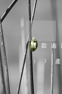 貸款逾期兩天有事嗎，貸款逾期兩天會(huì)產(chǎn)生什么影響？